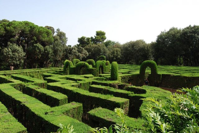 maze